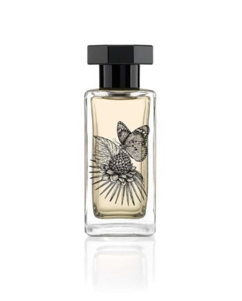 Couvent Des Minimes Lysandra Eau Parfum 100 Dameparfume