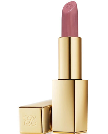 Estee Lauder Pure Color Lipstick Matte 816 Suit