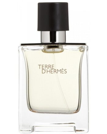 Hermes Terre Hermes Eau Toilette 100