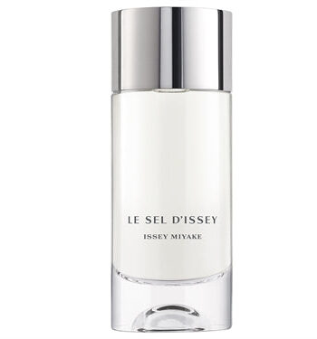 Issey Miyake Sel   Issey Eau Toilette Pour Homme 100