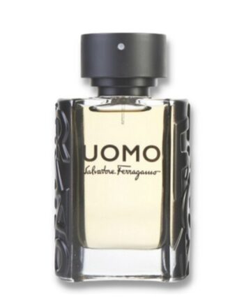Salvatore Ferragamo Uomo 100 Edt